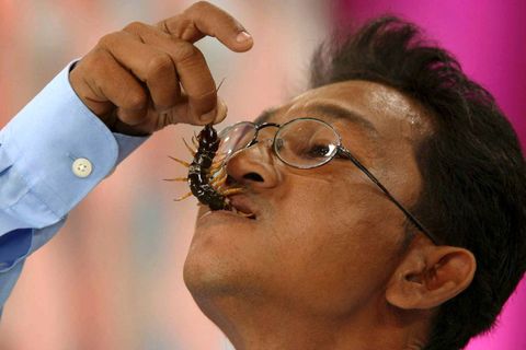 Bilderesultat for Spise insekter