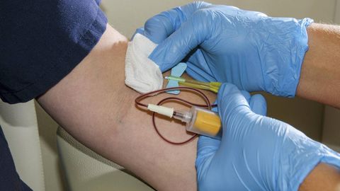 Nipt test sende blodprøve