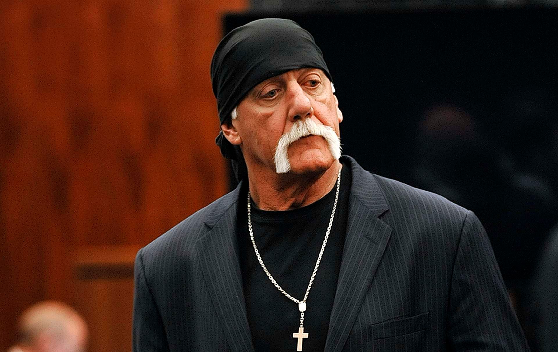 Hulk Hogan homofil sex